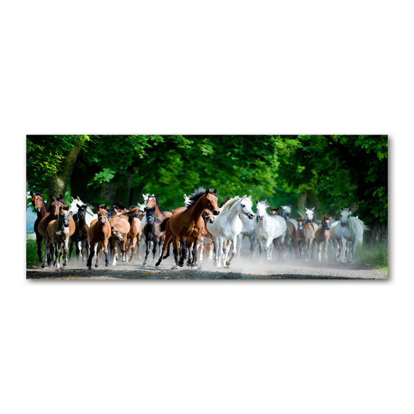 Gracie Oaks Horses In A Gallop Unframed Art Prints on Canvas
